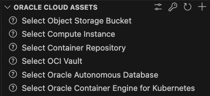 Oracle Cloud Assets