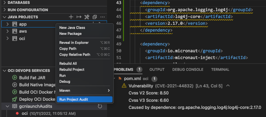 Project Audits action and reported errors